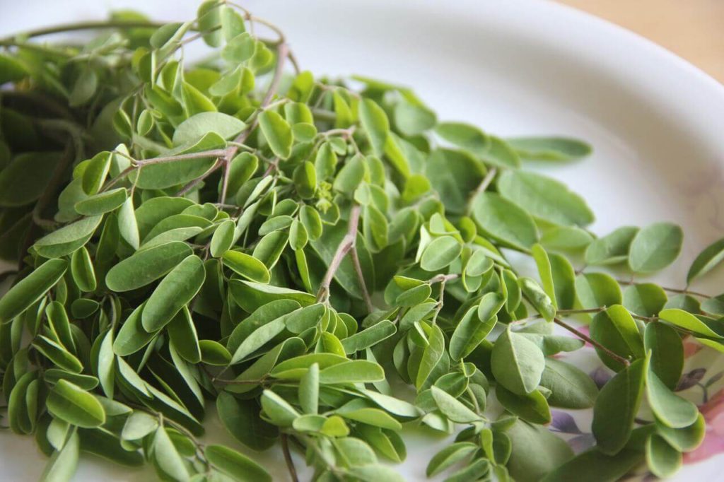 Moringa Dry Leaves