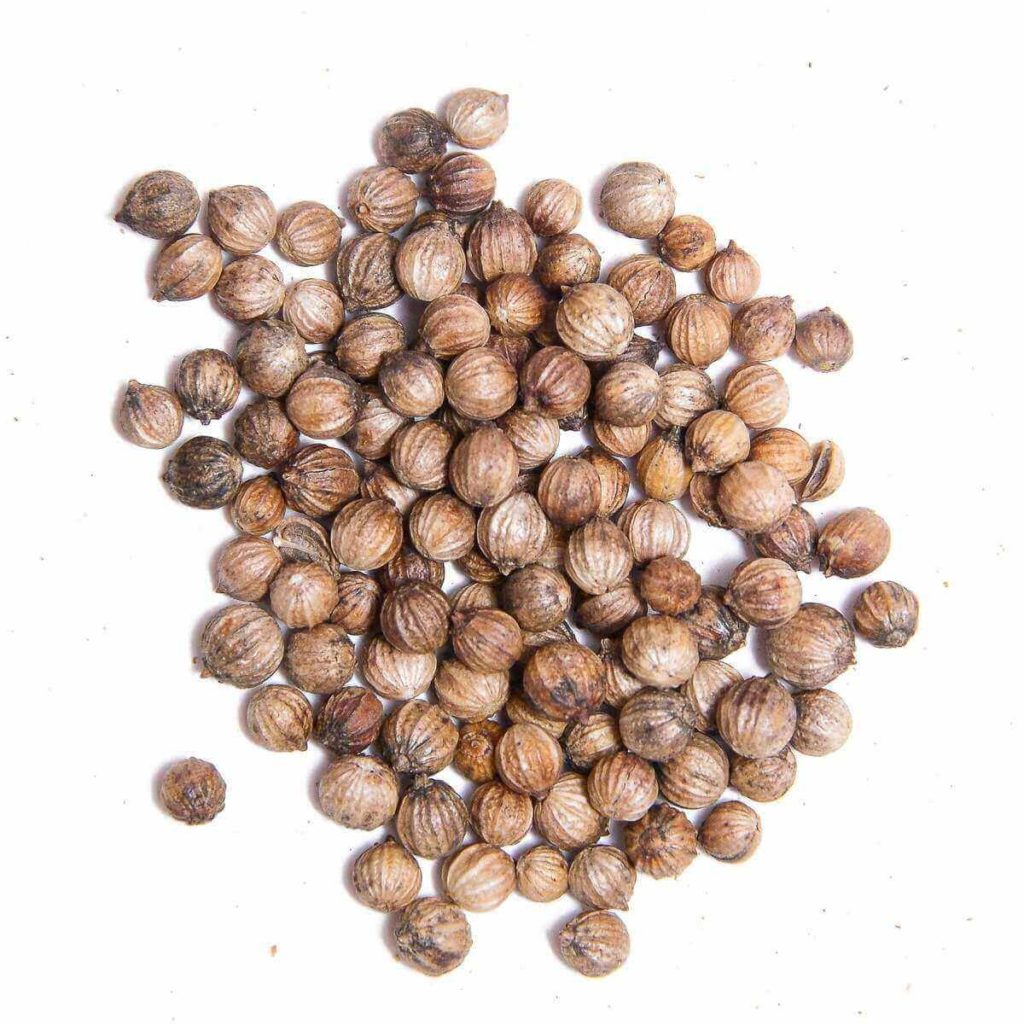 Corainder Seed