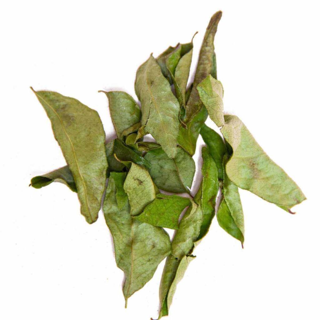 Curry Leaves