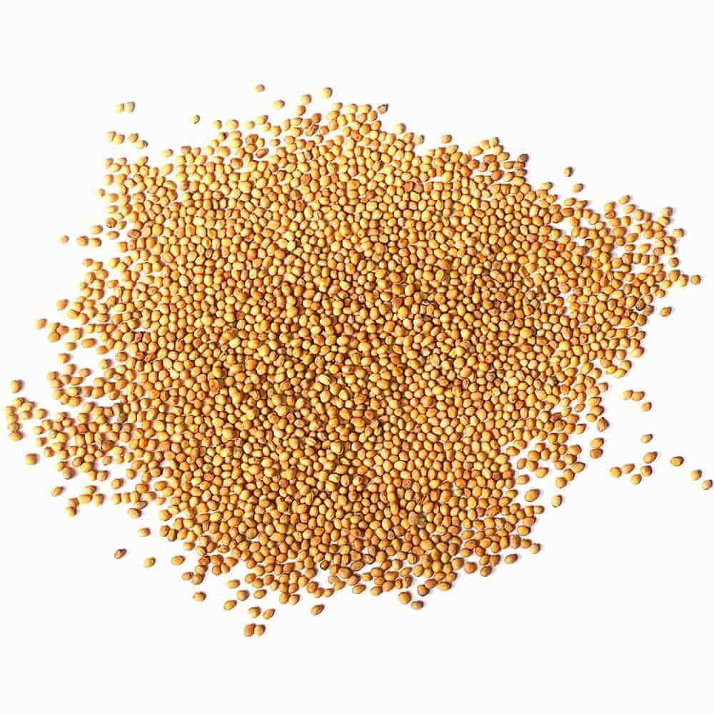 Yellow Mustard Seeds